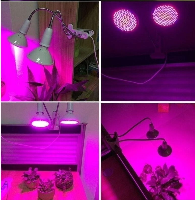 kunstigt lys til planter