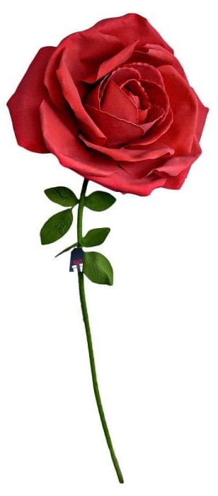 XXL kæmpe rose - Roser som gave til en kvinde