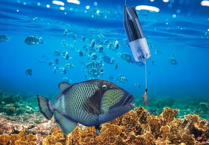 kamera til undervandsfisk
